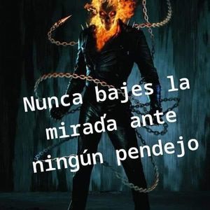 Meet your Posher, Erik